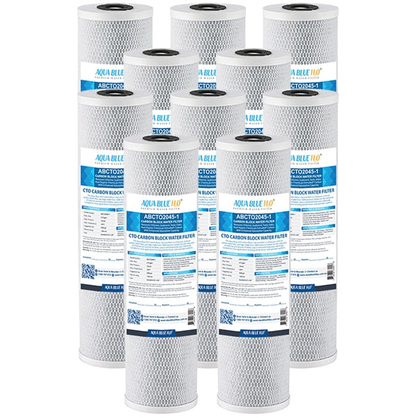 Big Blue 20"x4.5" Whole House CTO Carbon Block 1Mic