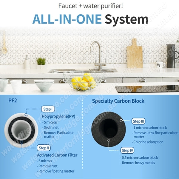 Everpure 4CB5-K replacement by Paragon American carbon block