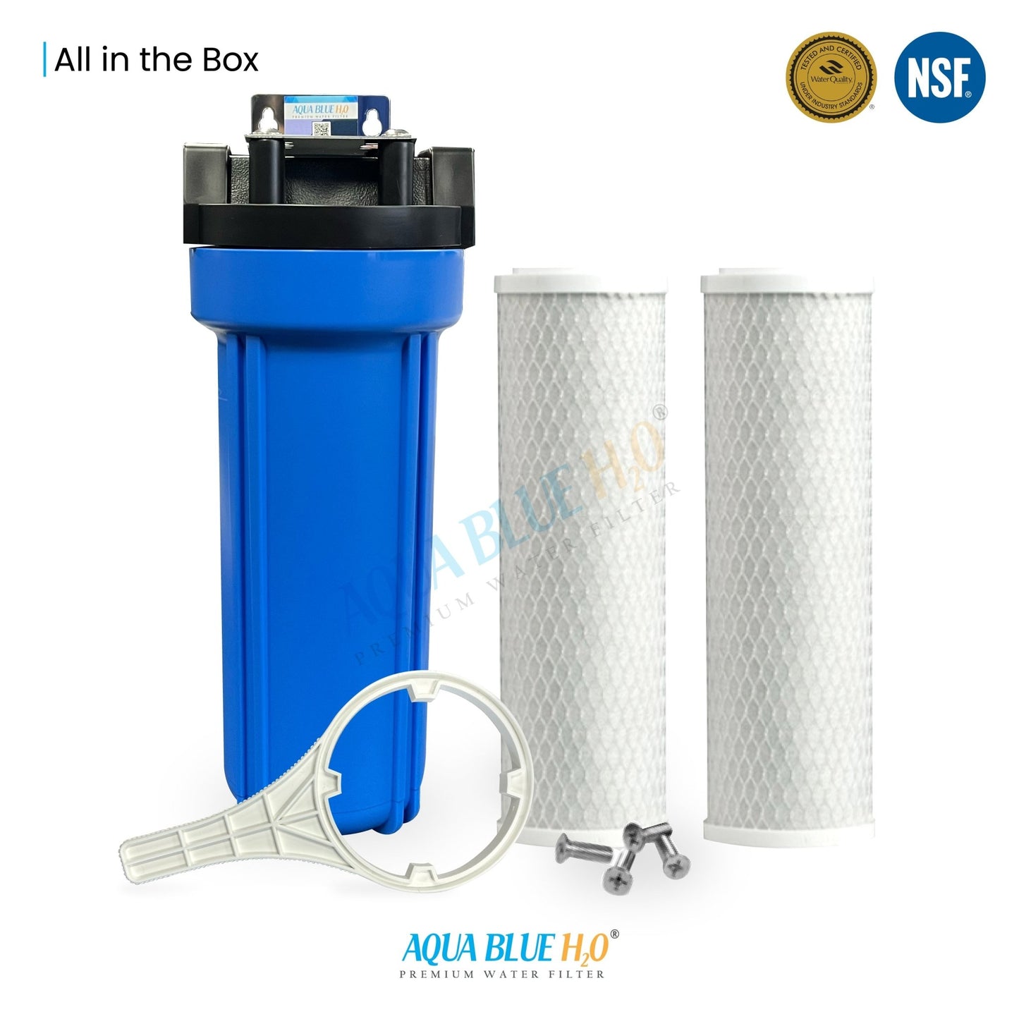 10" Big Blue Housing w/Press Relief Button 5 Micron Carbon Block Filter - WATER FILTER DISTRIBUTORS