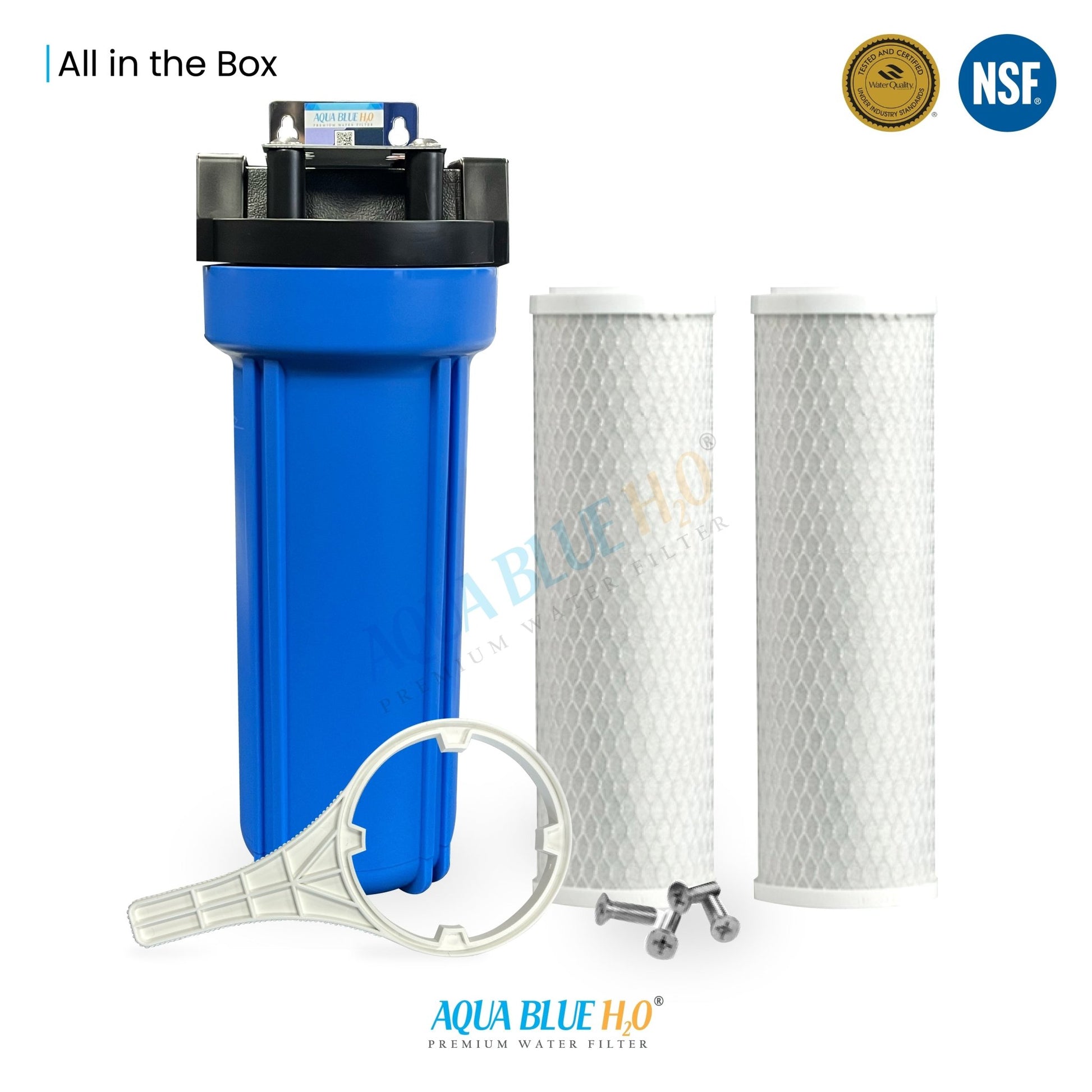 10" Big Blue Housing w/Press Relief Button 5 Micron Carbon Block Filter - WATER FILTER DISTRIBUTORS