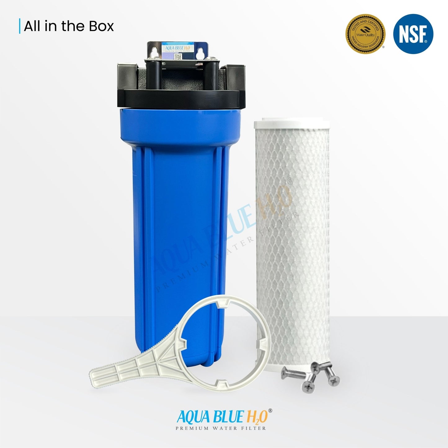 10" Big Blue Housing w/Press Relief Button 5 Micron Carbon Block Filter - WATER FILTER DISTRIBUTORS