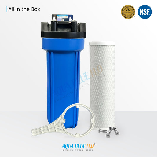 10" Big Blue Housing w/Press Relief Button 5 Micron Carbon Block Filter - WATER FILTER DISTRIBUTORS