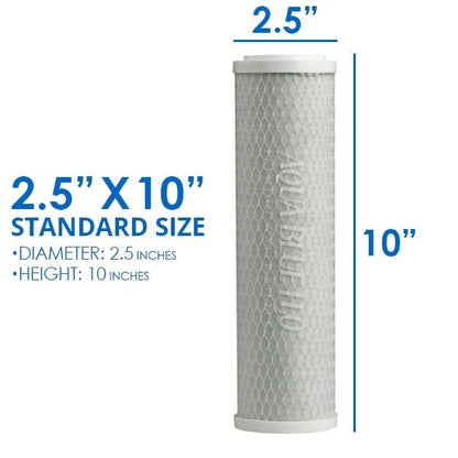 10" Clear Big Blue Housing w/ Presser Relief Button, CTO Coconut Shell Carbon Block Filter 10 x 2.5, 5MIC - WATER FILTER DISTRIBUTORS