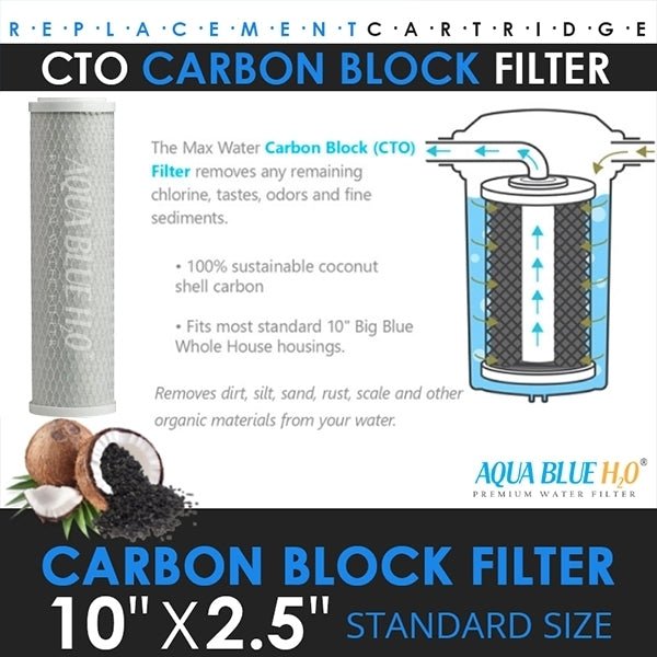 10" Clear Big Blue Housing w/ Presser Relief Button, CTO Coconut Shell Carbon Block Filter 10 x 2.5, 5MIC - WATER FILTER DISTRIBUTORS