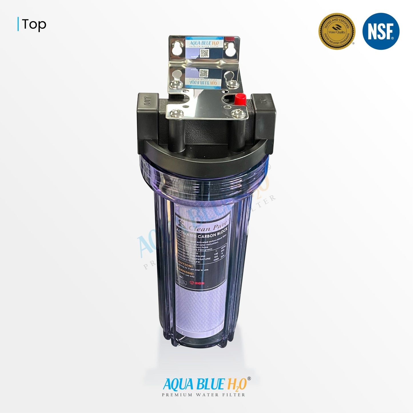 10" Clear Big Blue Housing w/ Presser Relief Button, CTO Coconut Shell Carbon Block Filter 10 x 2.5, 5MIC - WATER FILTER DISTRIBUTORS