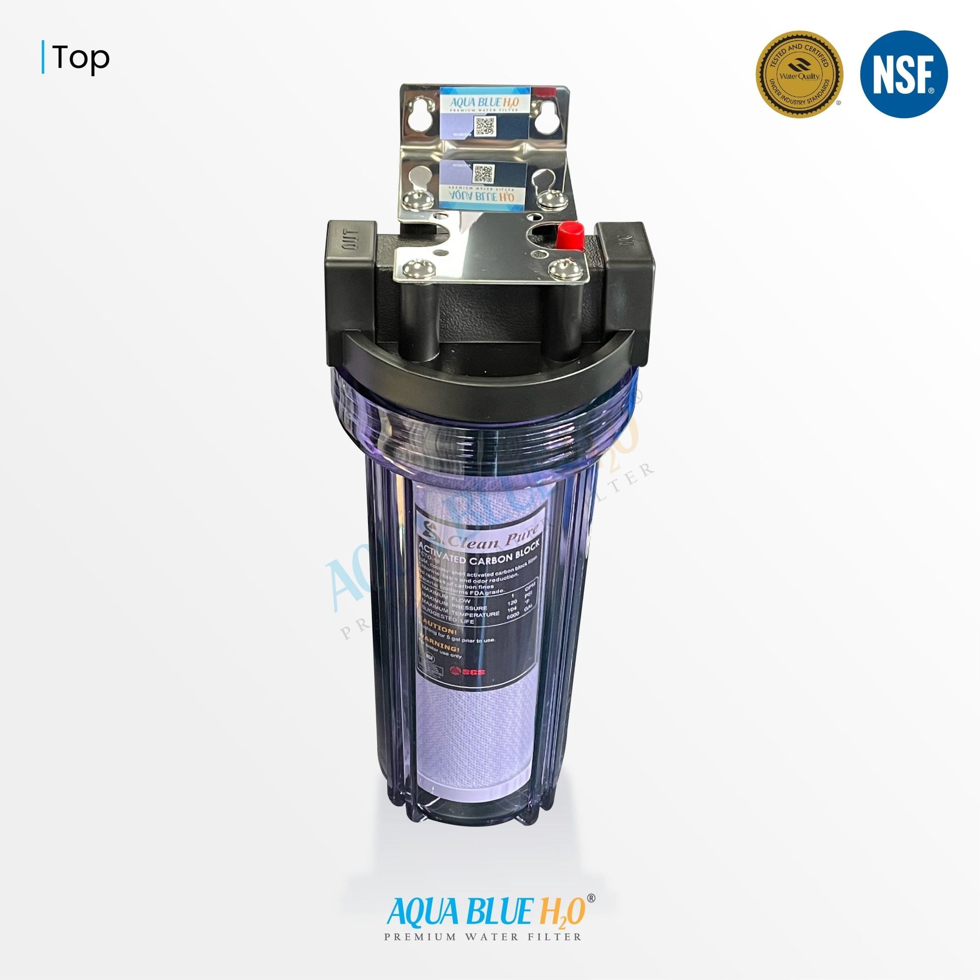 10" Clear Big Blue Housing w/ Presser Relief Button, CTO Coconut Shell Carbon Block Filter 10 x 2.5, 5MIC - WATER FILTER DISTRIBUTORS
