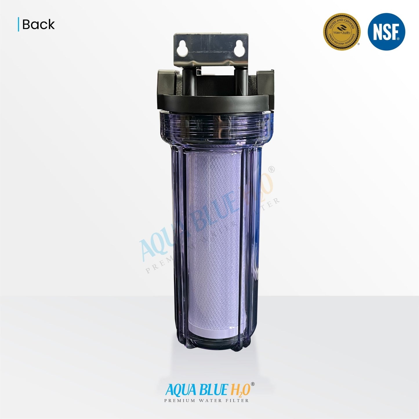 10" Clear Big Blue Housing w/ Presser Relief Button, CTO Coconut Shell Carbon Block Filter 10 x 2.5, 5MIC - WATER FILTER DISTRIBUTORS
