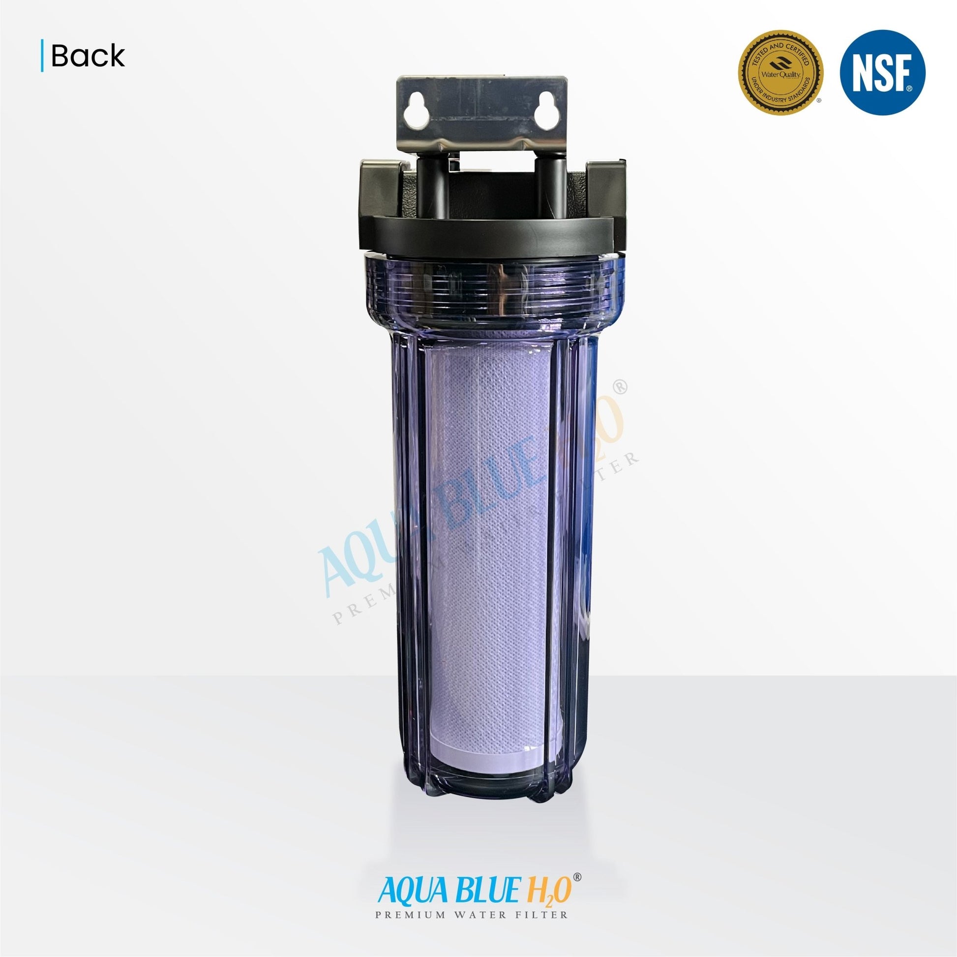 10" Clear Big Blue Housing w/ Presser Relief Button, CTO Coconut Shell Carbon Block Filter 10 x 2.5, 5MIC - WATER FILTER DISTRIBUTORS