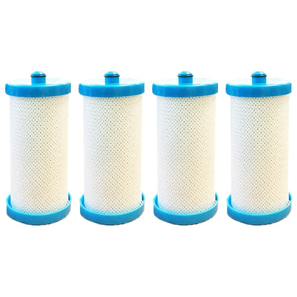 WF1CB RG-100 WFCB 1438545 218904501 Refrigerator Filter Frigidaire Kenmore
