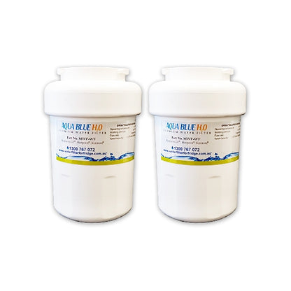 GE MWF MWFP SmartWater Internal Fridge Model CZS25TSESS Water Filter by Aqua  Blue H2O