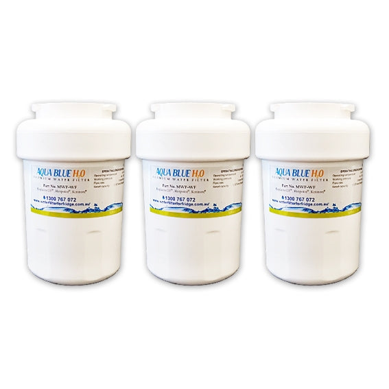 GE MWF MWFP SmartWater Internal Fridge Model CZS25TSESS Water Filter by Aqua  Blue H2O