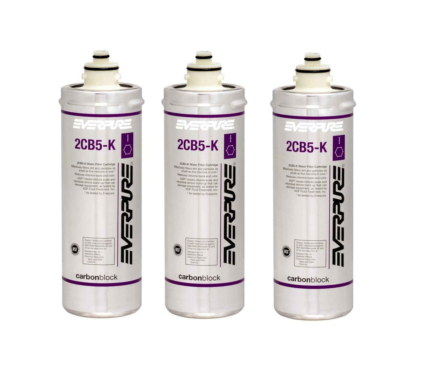 Everpure 2CB5-K EV9617-06 Replacement Filter Cartridge