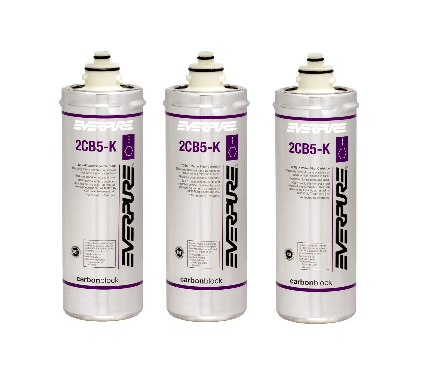 Everpure 2CB5-K EV9617-06 Replacement Filter Cartridge