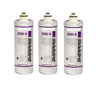 Everpure 2CB5-K EV9617-06 Replacement Filter Cartridge