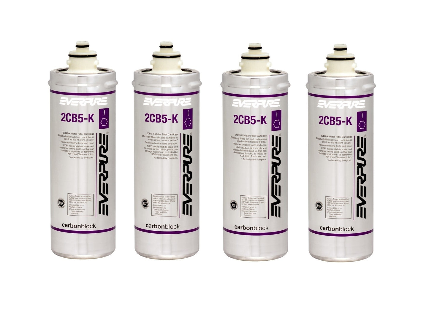 Everpure 2CB5-K EV9617-06 Replacement Filter Cartridge