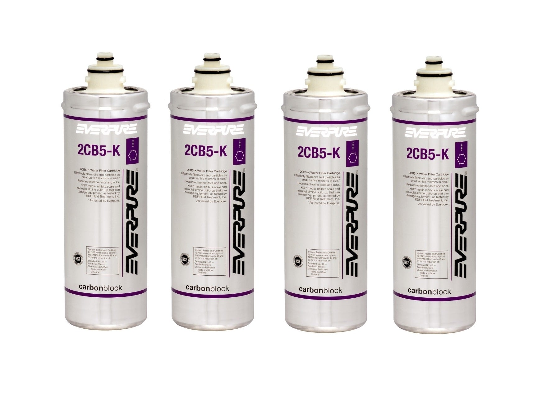 Everpure 2CB5-K EV9617-06 Replacement Filter Cartridge