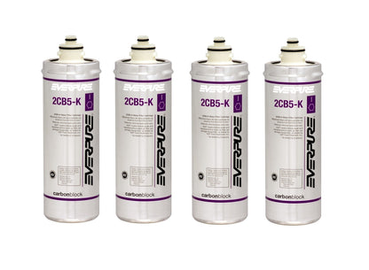 Everpure 2CB5-K EV9617-06 Replacement Filter Cartridge