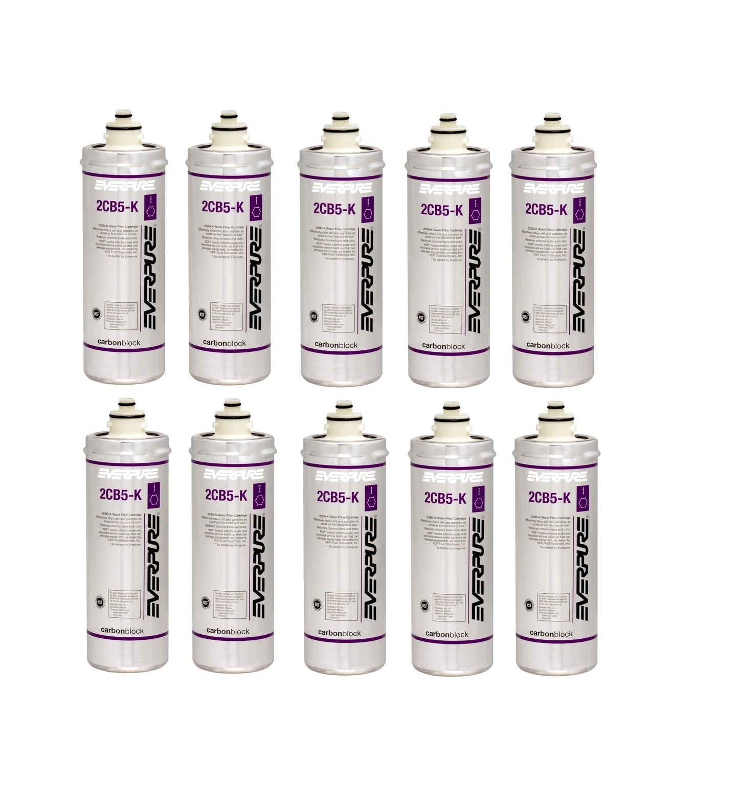 Everpure 2CB5-K EV9617-06 Replacement Filter Cartridge