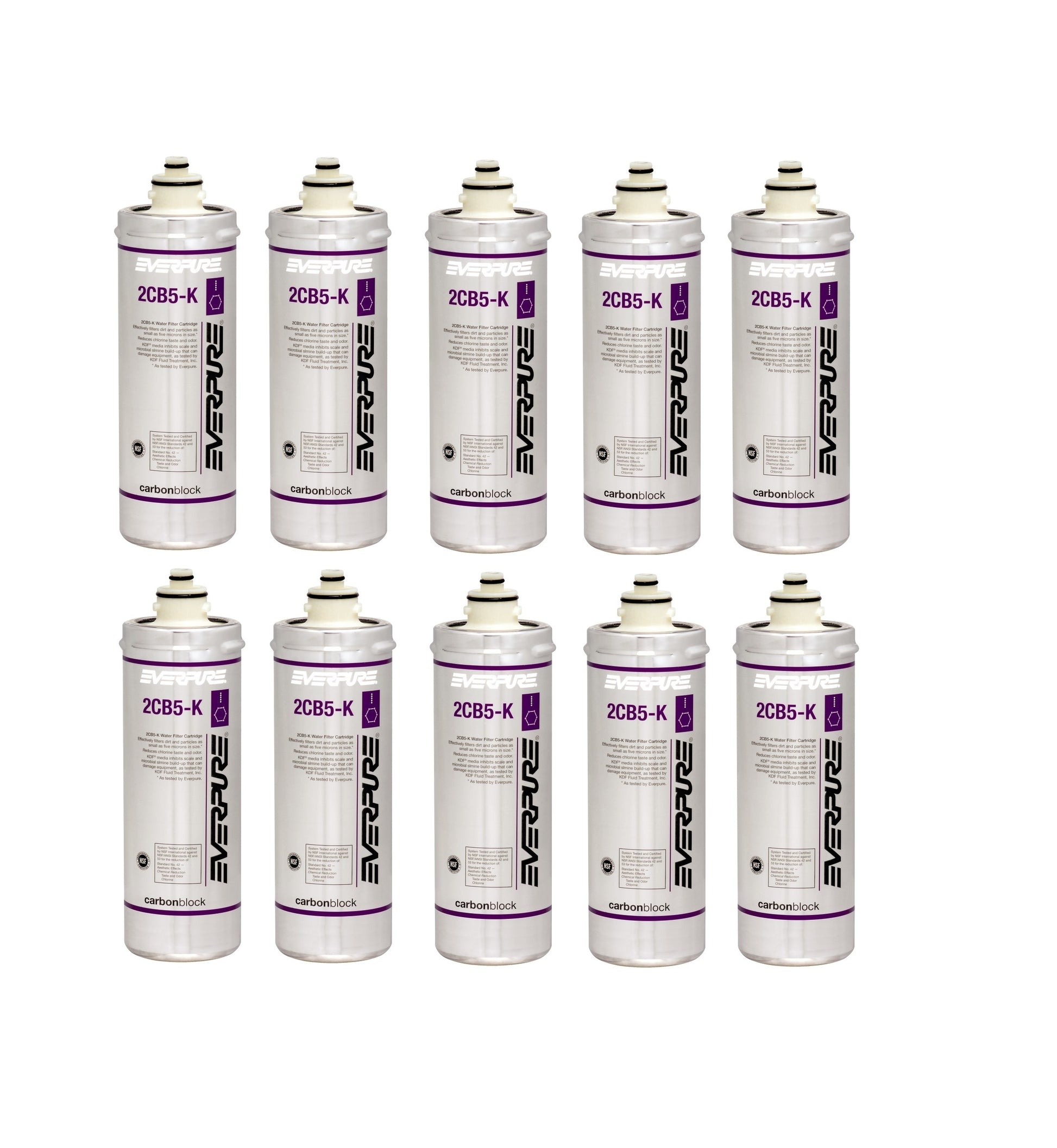 Everpure 2CB5-K EV9617-06 Replacement Filter Cartridge