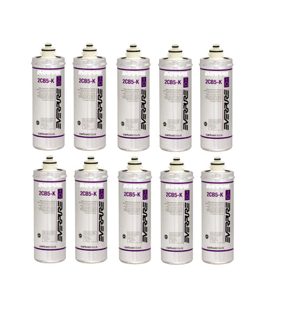 Everpure 2CB5-K EV9617-06 Replacement Filter Cartridge