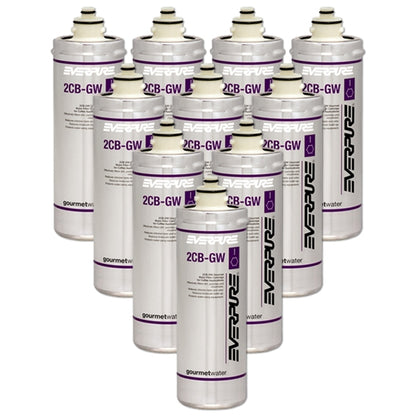 Everpure Premium WFA12 Filter Cartridge