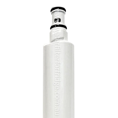 Fisher and  Paykel   Filter for RS90AU1