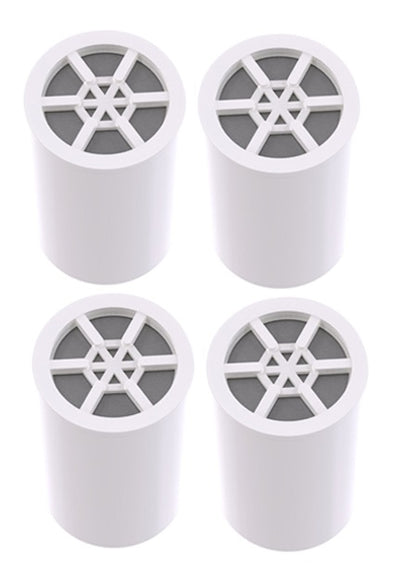 Shower Filter Cartridge for  SF450