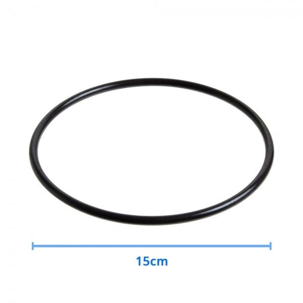 20 Inch Big Blue Whole House Water System With GAC Granular Activated Coconut Carbon 20" X 4.5" Refillable 2045 Silver GAC - WATER FILTER DISTRIBUTORS