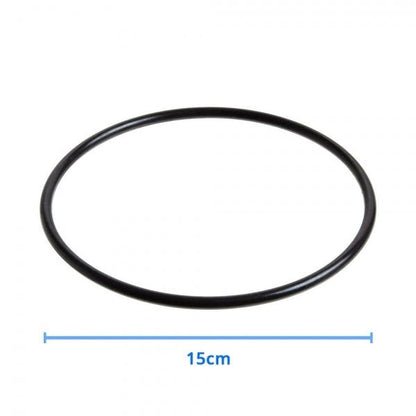 20 Inch Big Blue Whole House Water System With GAC Granular Activated Coconut Carbon 20" X 4.5" Refillable 2045 Silver GAC - WATER FILTER DISTRIBUTORS