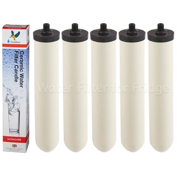 Doulton W9123006 Doulton Ultracarb Original Water Filter Cartridge