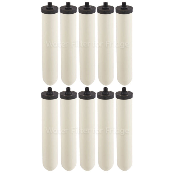 Doulton W9123006 Doulton Ultracarb Original Water Filter Cartridge