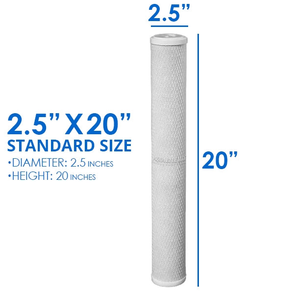 Aqua-Pure Twin Whole House Water Filter System AP212