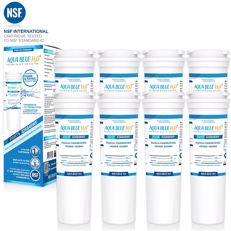 Fisher & Paykel 836848 / 13040210 Replacement Filter Part 836860