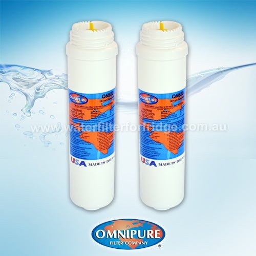 2x Omnipure Q5520 Q - Series Quick change 1 micron Water Filter - WATER FILTER DISTRIBUTORS