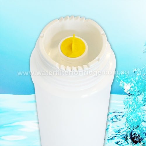 2x Omnipure Q5520 Q - Series Quick change 1 micron Water Filter - WATER FILTER DISTRIBUTORS