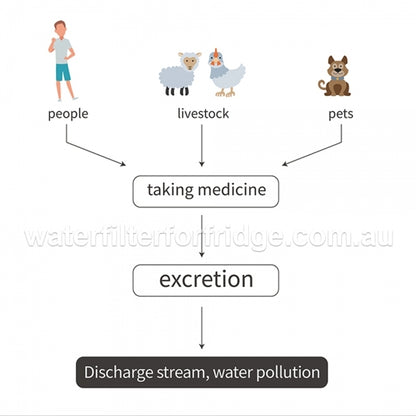 Under-sink water filtration system Paragon Water Filter CP-4
