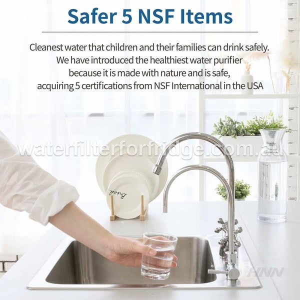 Under-sink water filtration system Paragon Water Filter CP-4