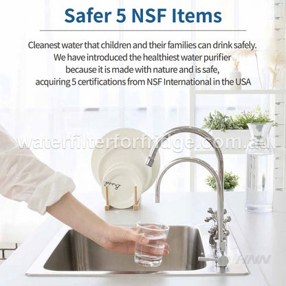 PFOS and PFOA  remove filter system