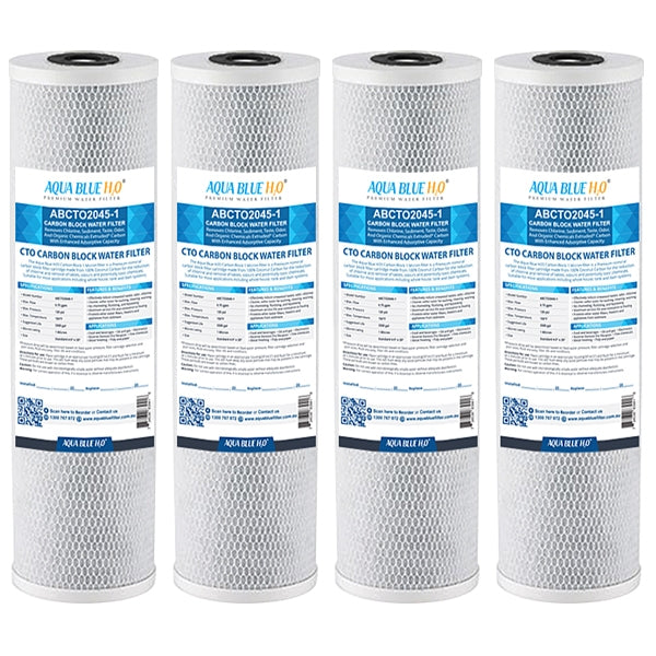 Big Blue 20"x4.5" Whole House CTO Carbon Block 1Mic