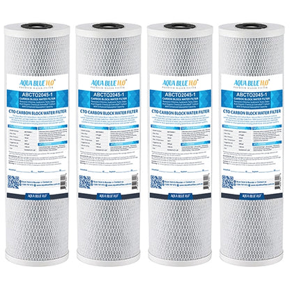 Big Blue 20"x4.5" Whole House CTO Carbon Block 1Mic