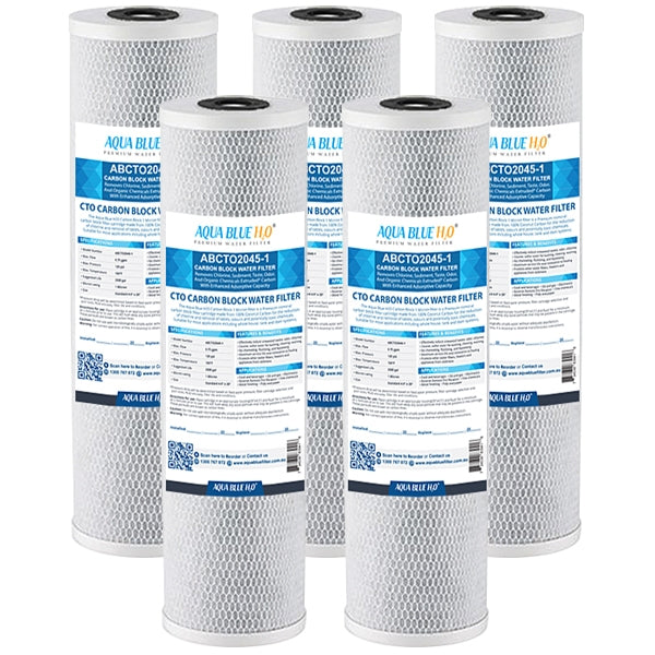 Big Blue 20"x4.5" Whole House CTO Carbon Block 1Mic