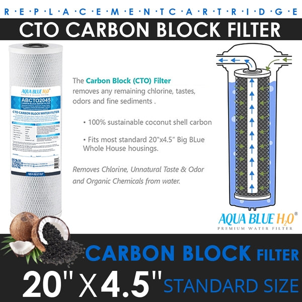 Big Blue 20"x4.5" Whole House CTO Carbon Block 1Mic