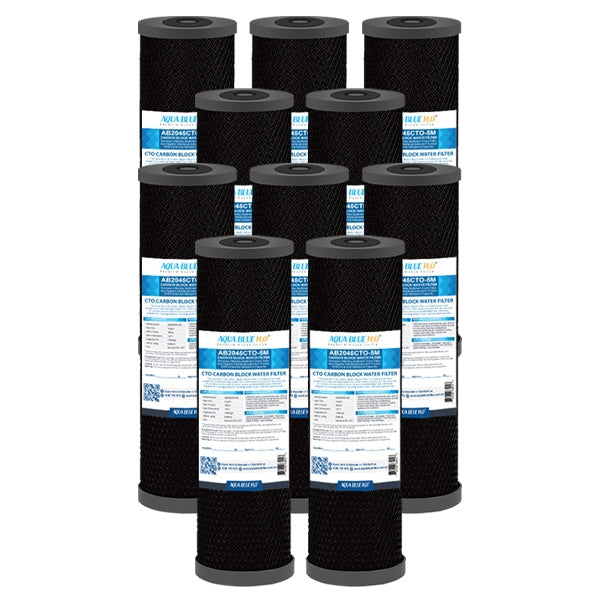 Big Blue 20"x4.5" Whole House CTO Carbon Block 1Mic