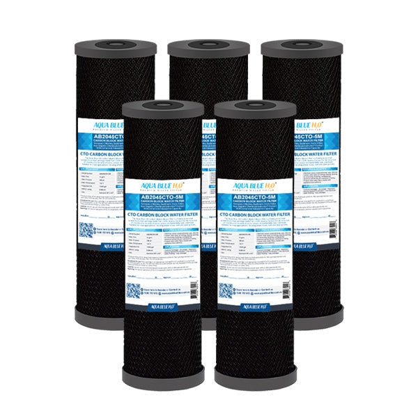 Big Blue 20"x4.5" Whole House CTO Carbon Block 1Mic