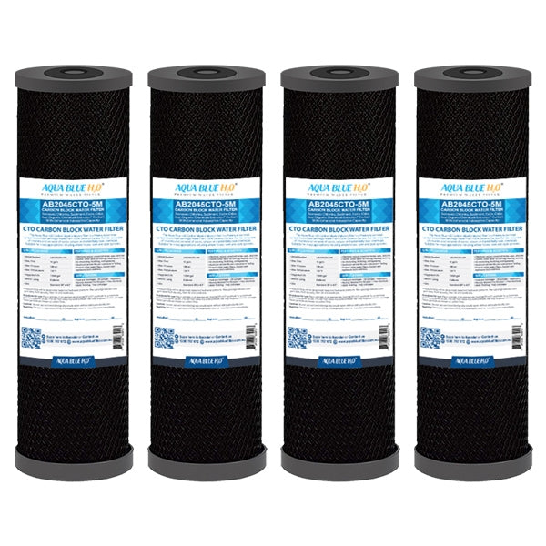 Big Blue 20"x4.5" Whole House CTO Carbon Block 1Mic