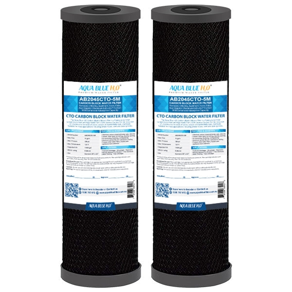 Big Blue 20"x4.5" Whole House CTO Carbon Block 1Mic