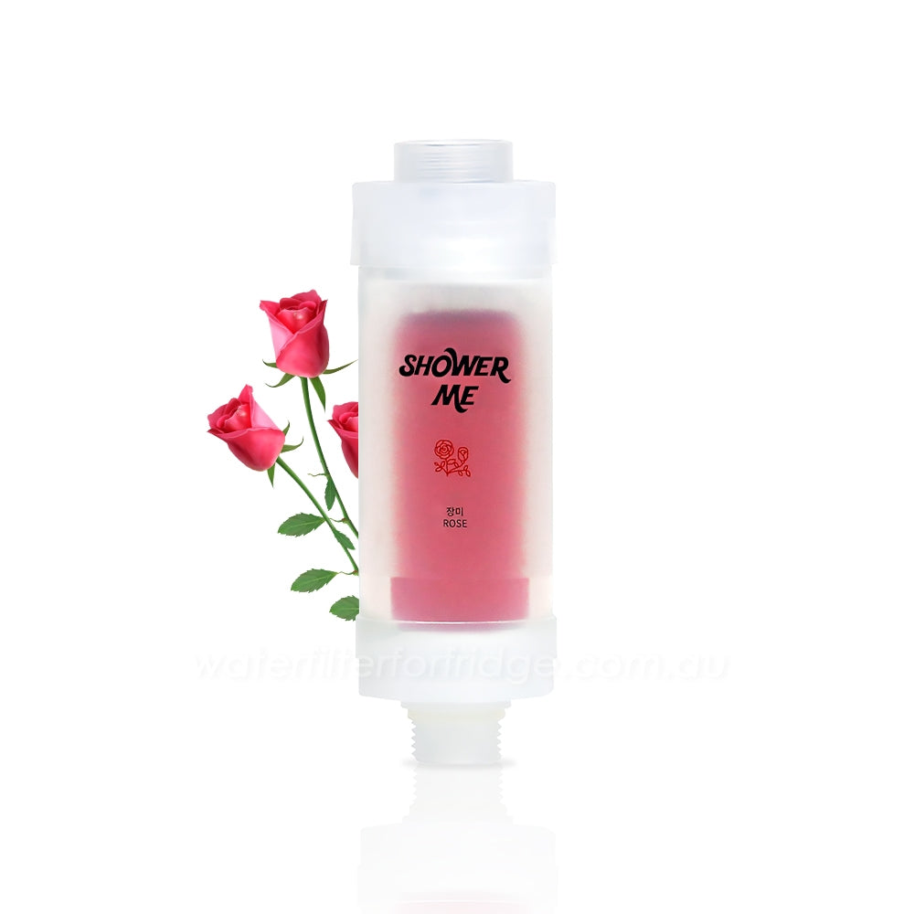 SHOWER TASTE VITAMIN FILTER - Shower Me - Made in Korea