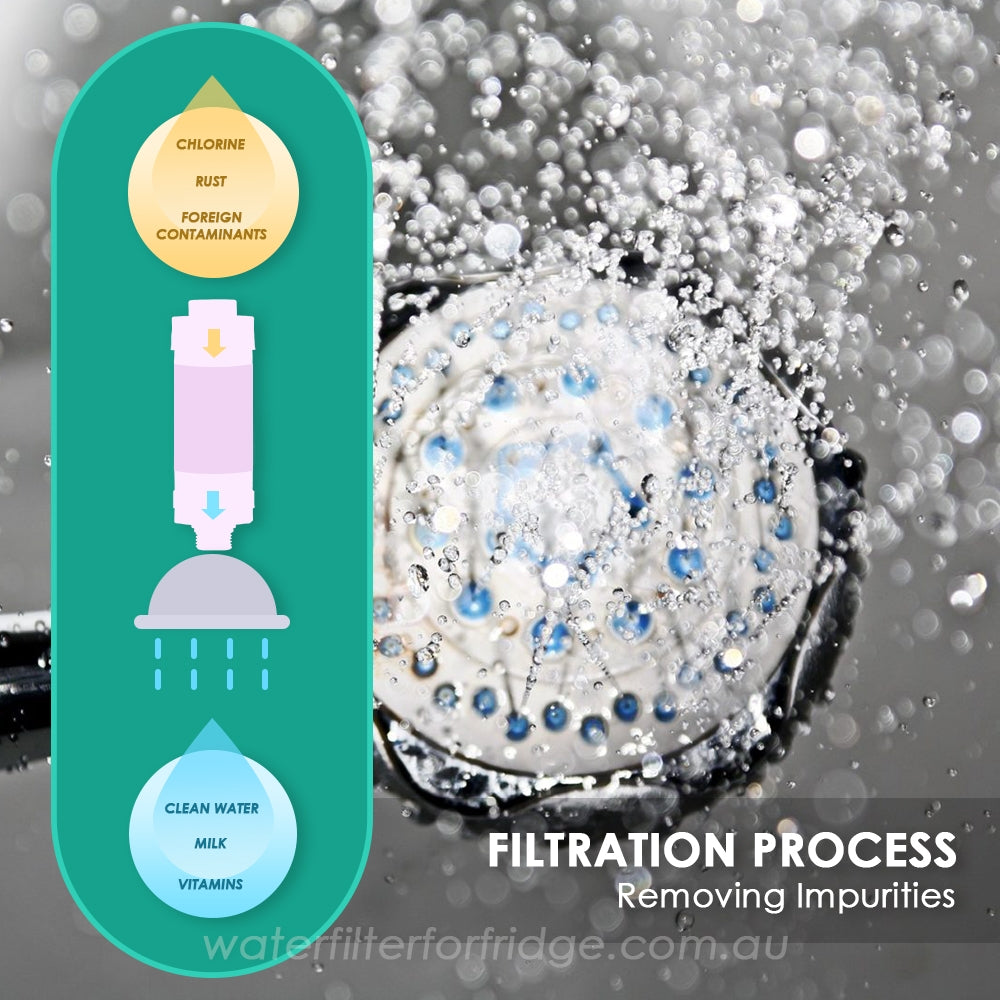 SHOWER TASTE VITAMIN FILTER - Shower Me - Made in Korea