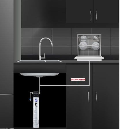 Paragon  PF6  Sediment and  Rust removal filter