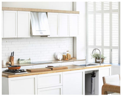 Paragon  PF6  Sediment and  Rust removal filter